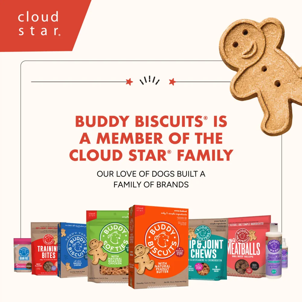 Buddy Biscuits Trainers Training Bites Soft & Chewy Bacon Dog Treats