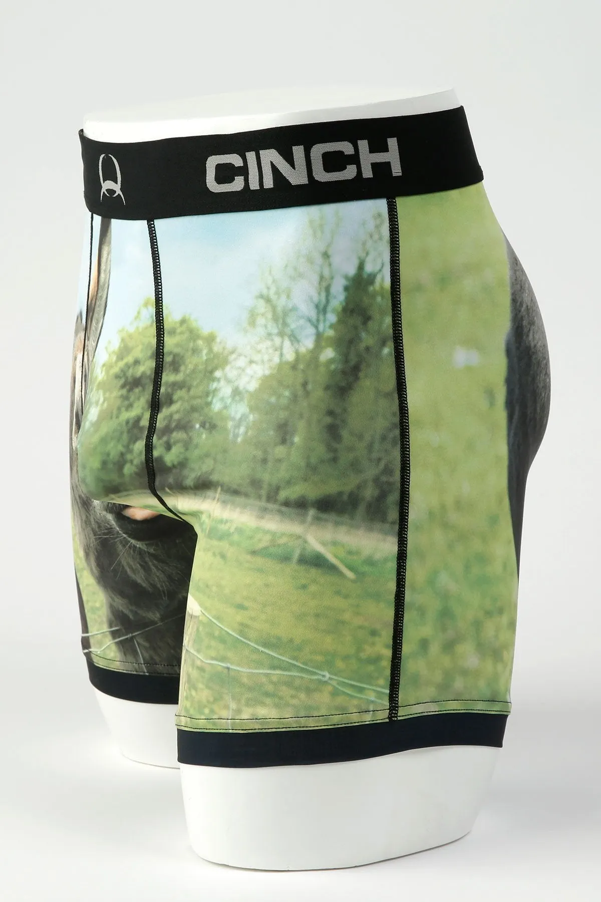 Cinch Mens 6" Donkey Boxer Briefs - Multi - MXY6009017