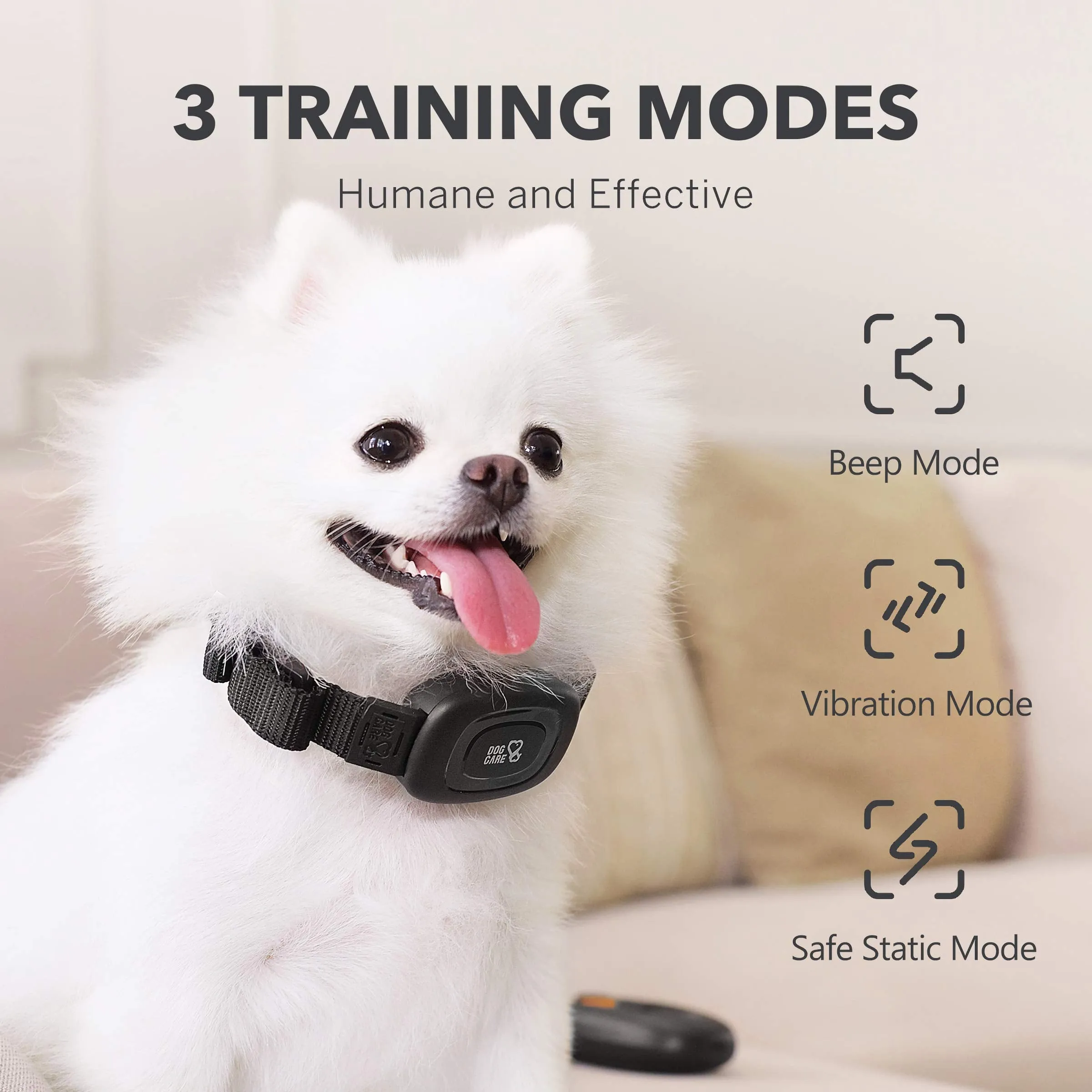 Dog Training Collar with Remote