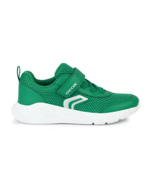 GEOX B Sprintye Green