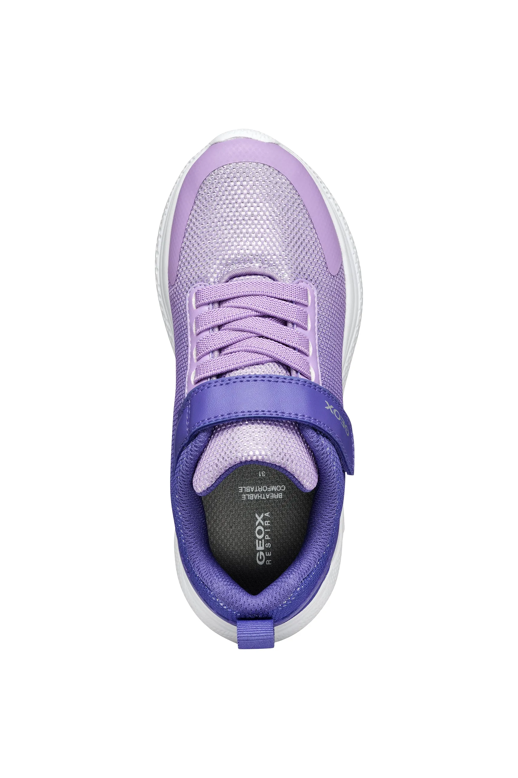 Geox Sprintye Girls Dark Violet Lilac Trainer