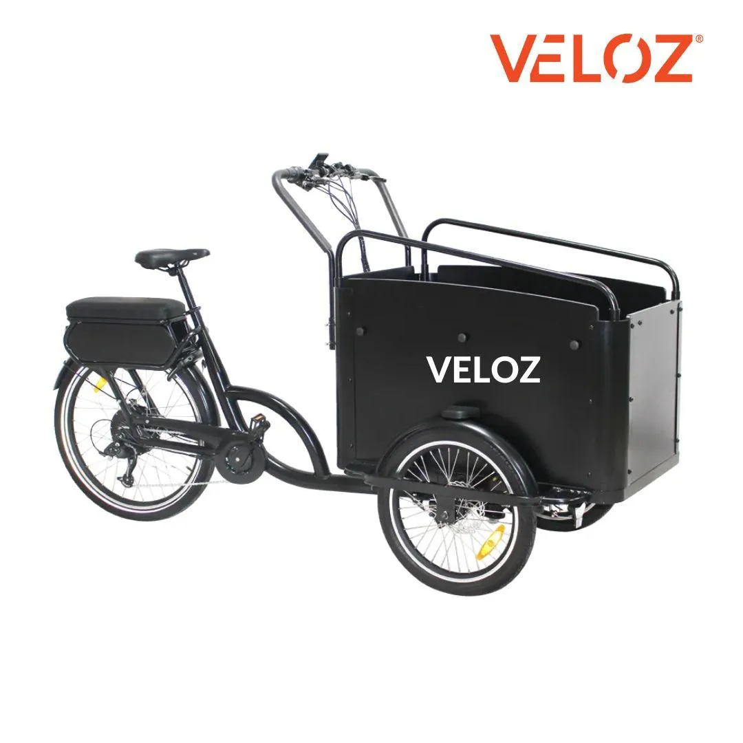 Veloz Electric Cargo Trike 500W Motor 200 Kilos weight load 6 Months Free Service