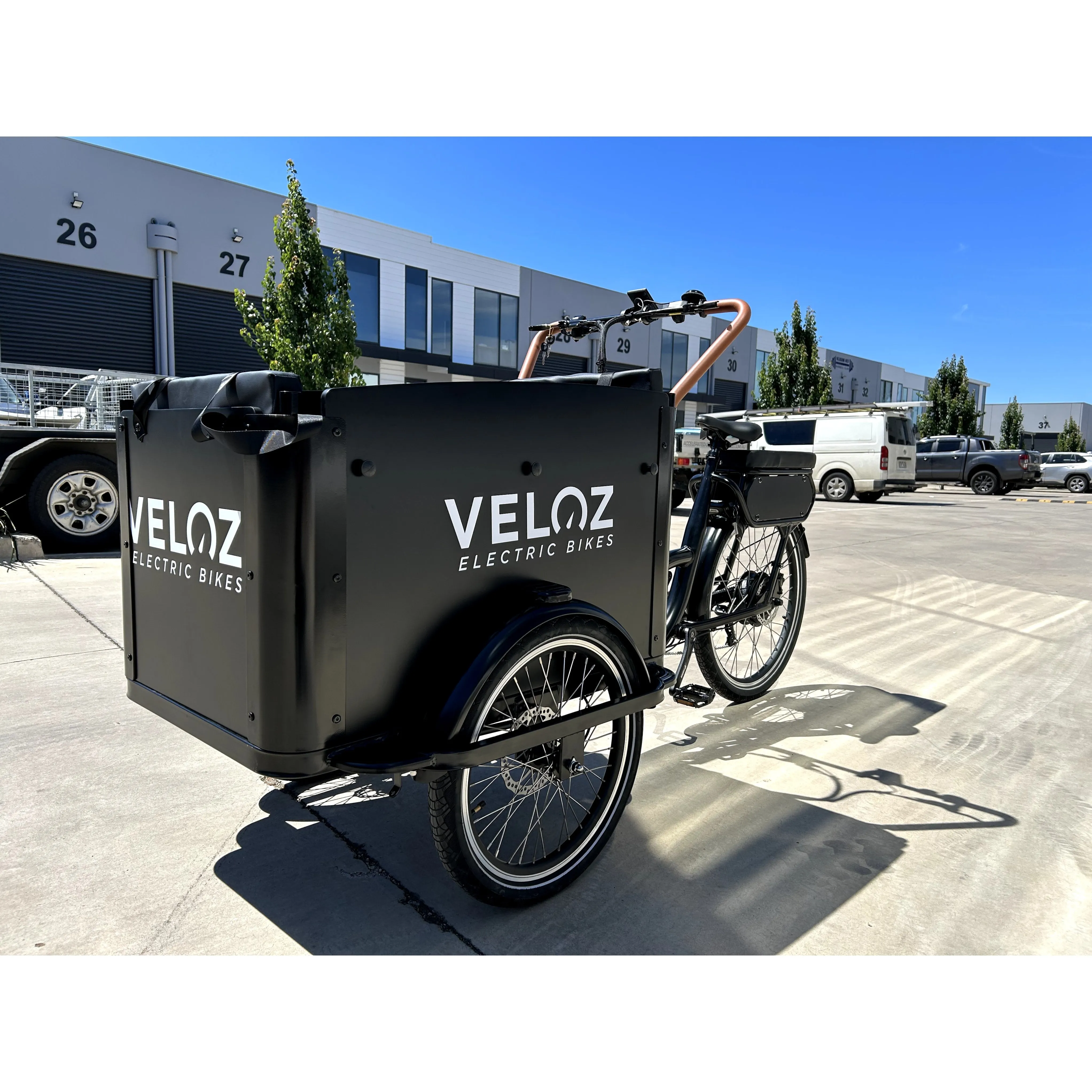 Veloz Electric Cargo Trike 500W Motor 200 Kilos weight load 6 Months Free Service