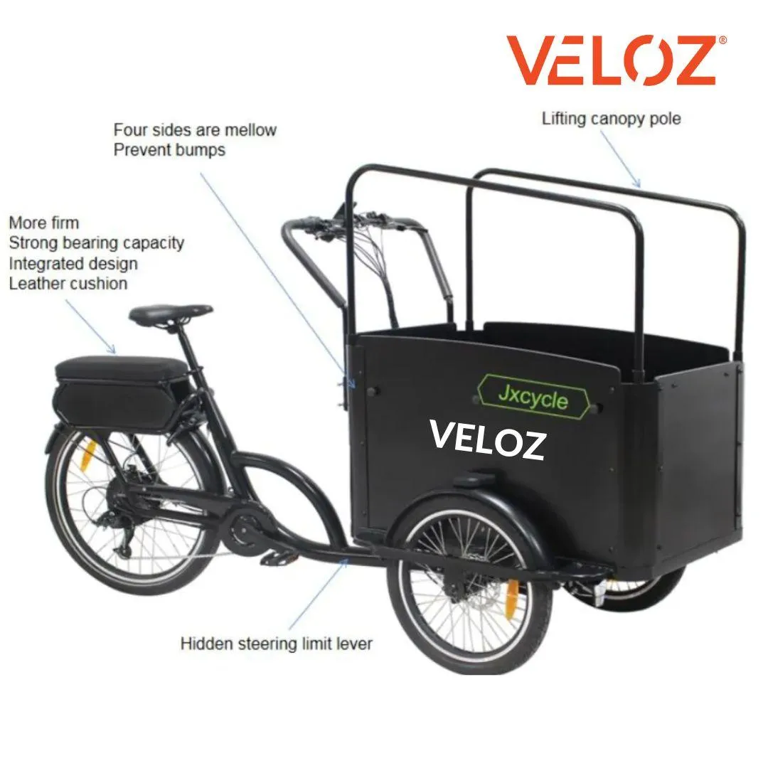 Veloz Electric Cargo Trike 500W Motor 200 Kilos weight load 6 Months Free Service